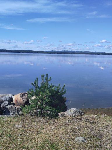 Sommerwasser Sommerwasser