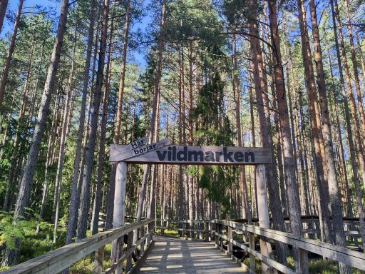 Besuch in Järvsö - Wildpark und Mountainbiken Besuch in Järvsö - Wildpark und Mountainbiken